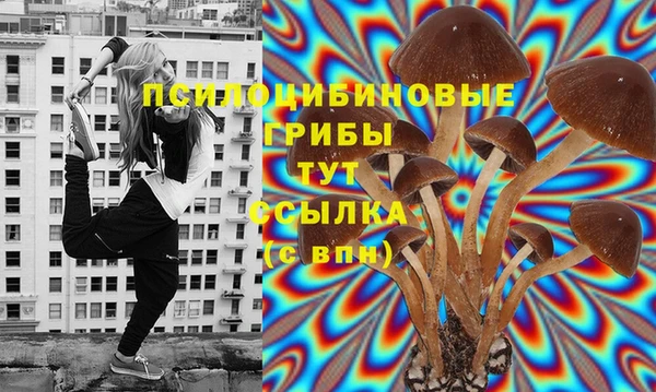 синтетический гашиш Арсеньев