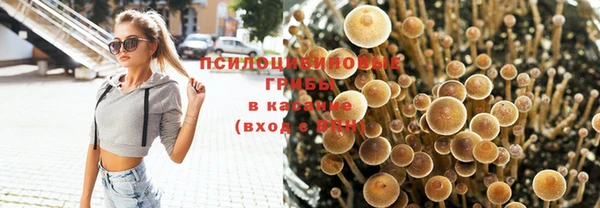 мет Армянск