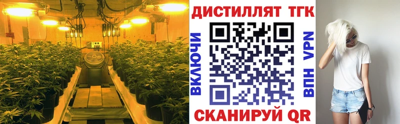 ТГК вейп с тгк Козьмодемьянск